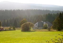 Muzeum a Den otevřených dveří památek
