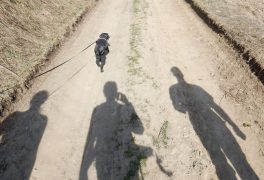 Den Země v Horáckém muzeu