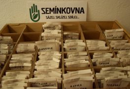 Semínkovna se přesunula do Kulturního domu