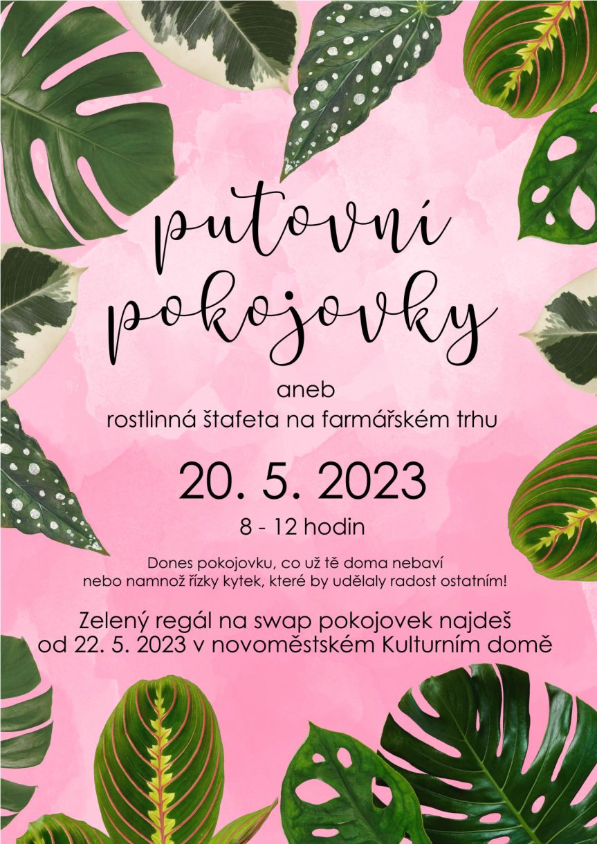 Putovní pokojovky aneb rostlinná štafeta na farmářském trhu