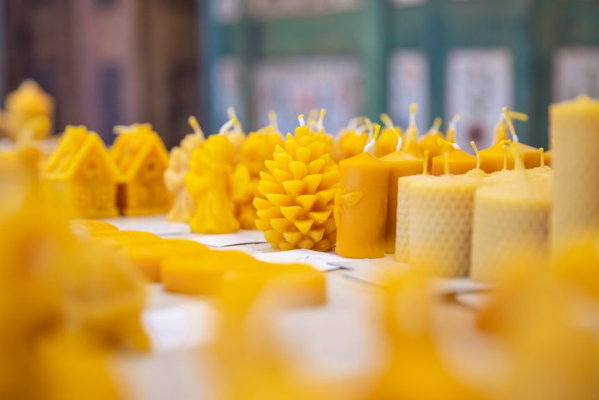 Výtvarná dílna na včelařské výstavě